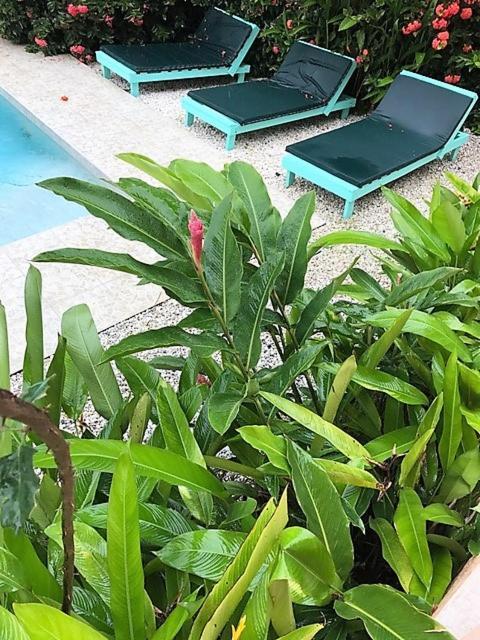 Tobago Hibiscus Golf Villas & Appartments Mount Irvine Екстериор снимка