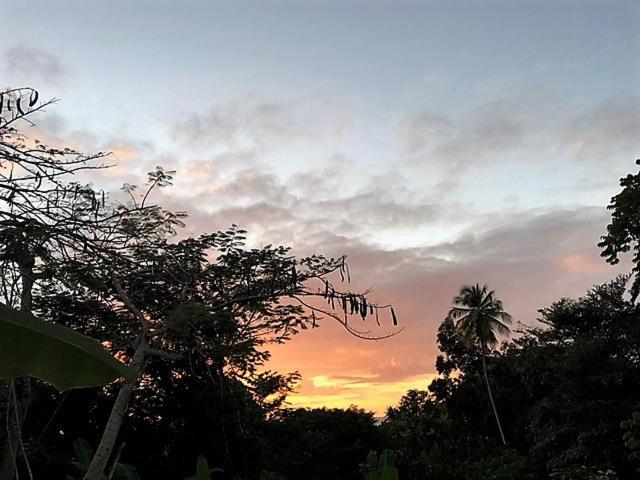 Tobago Hibiscus Golf Villas & Appartments Mount Irvine Екстериор снимка