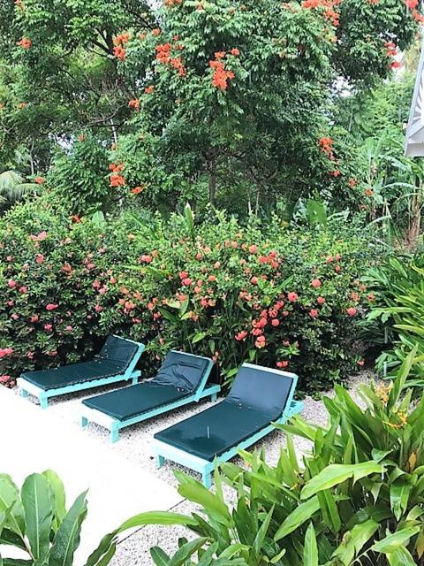 Tobago Hibiscus Golf Villas & Appartments Mount Irvine Екстериор снимка